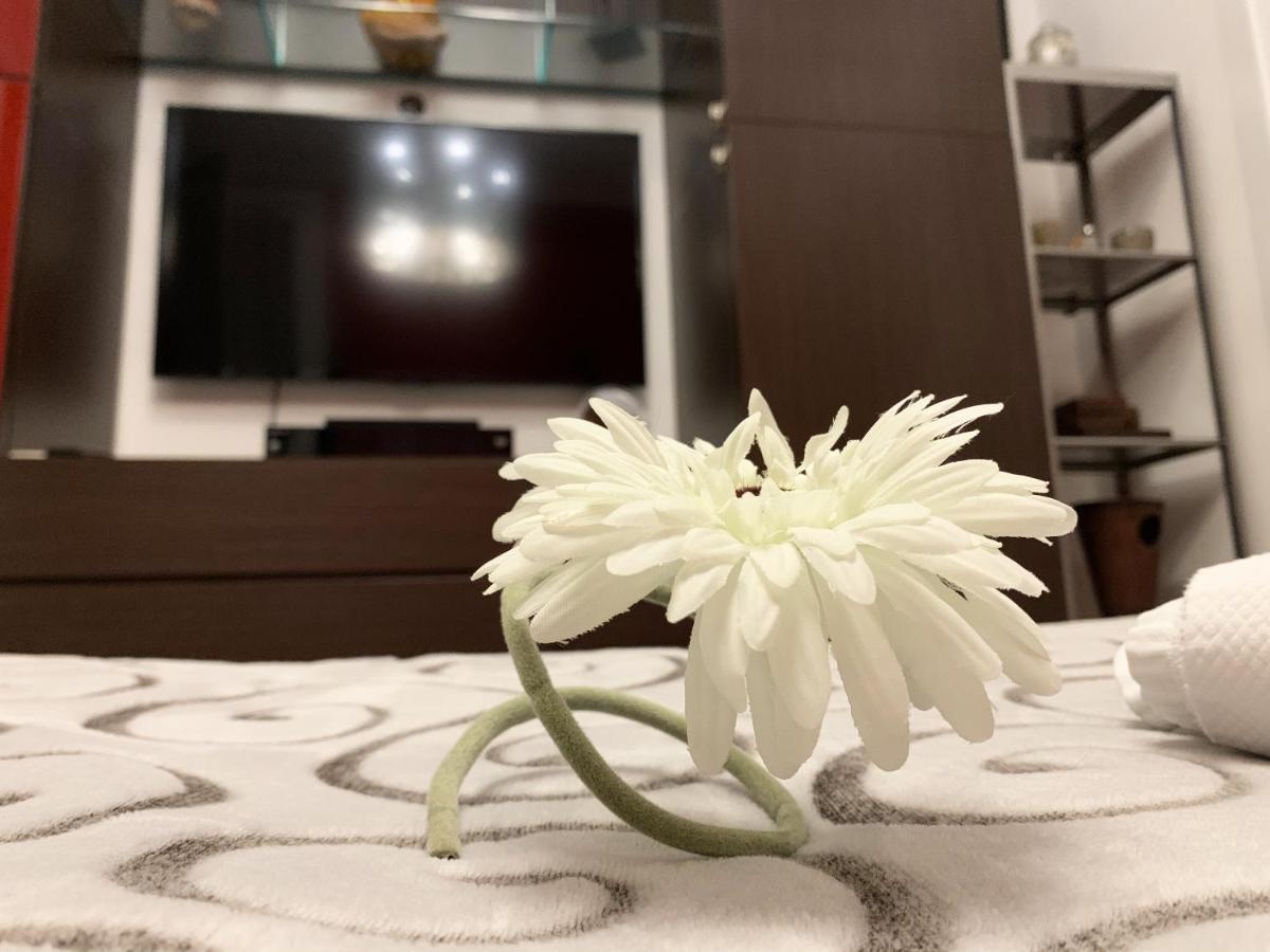 Sansiro47 Bed & Breakfast Milan Luaran gambar